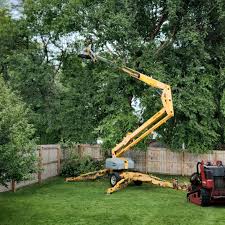 Best Pest Control for Lawns  in Kimberly, WI