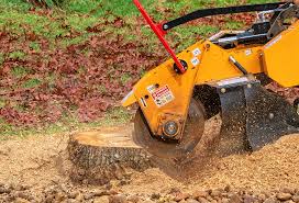 Best Tree Removal  in Kimberly, WI