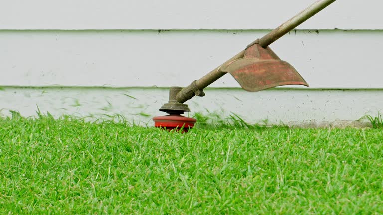 Best Lawn Pest Prevention  in Kimberly, WI