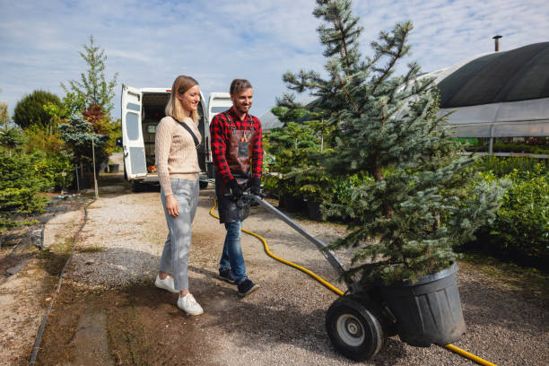 Professional Tree Services in Kimberly, WI